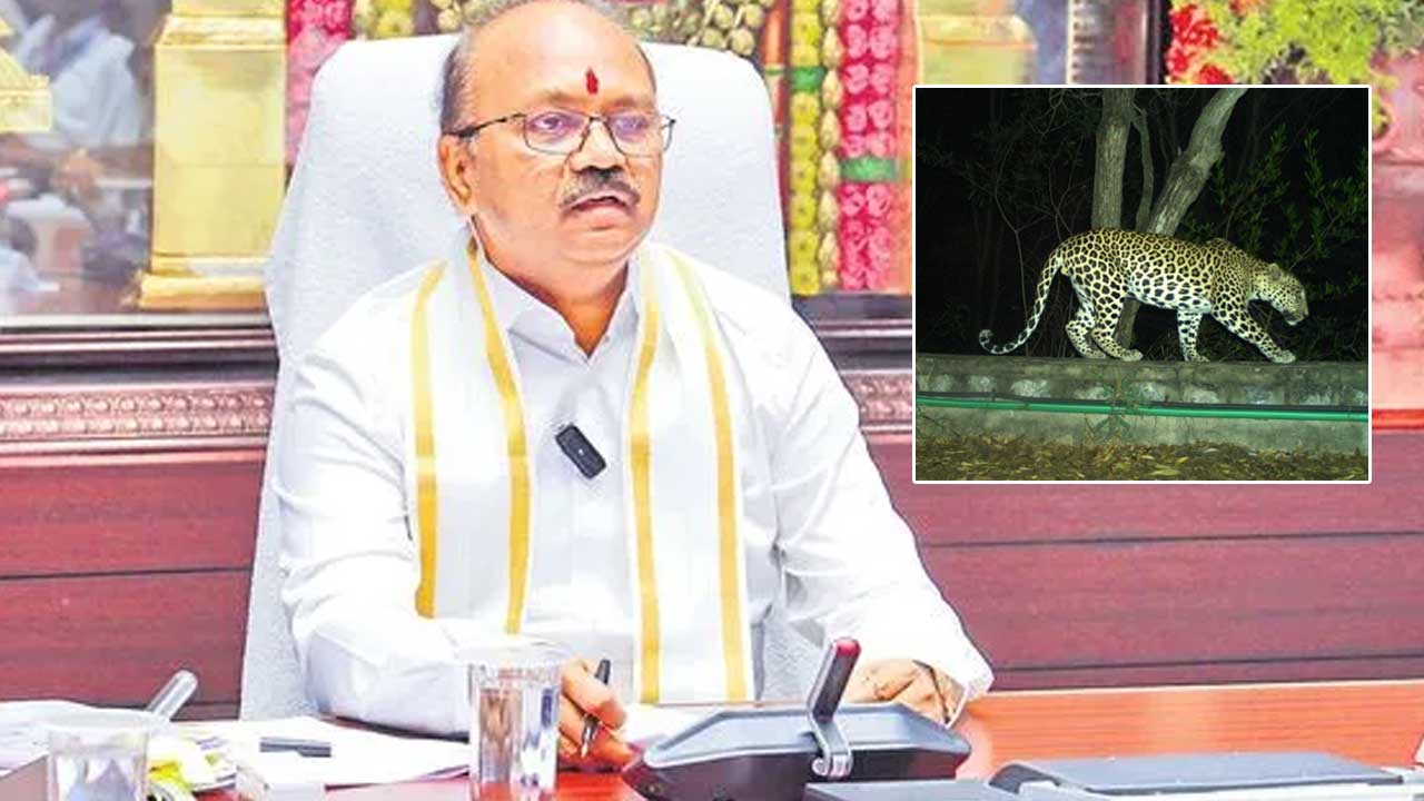 TTD: తిరుమల మెట్ల మార్గంలో మళ్లీ చిరుతల అలజడి.. నిపుణులతో టీటీడీ ఈవో భేటీ