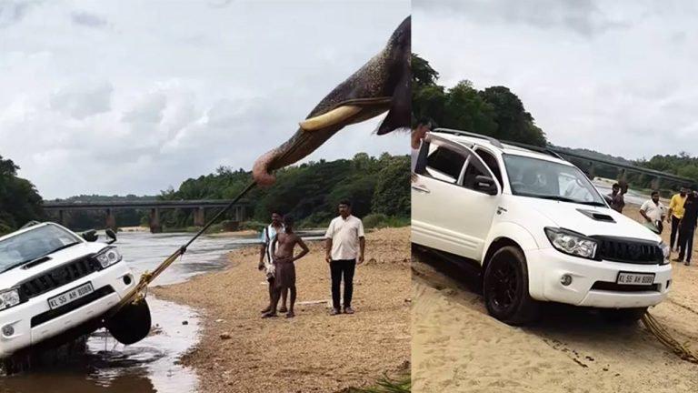 Viral Video: నదిలో చిక్కుకున్న టయోటా ఫార్చ్యూనర్.. నిమిషాల్లోనే లాగేసిన ఏనుగు.. వీడియో వైరల్