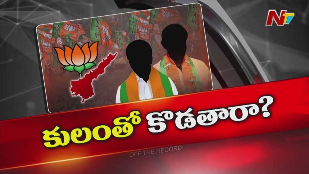Ap Bjp