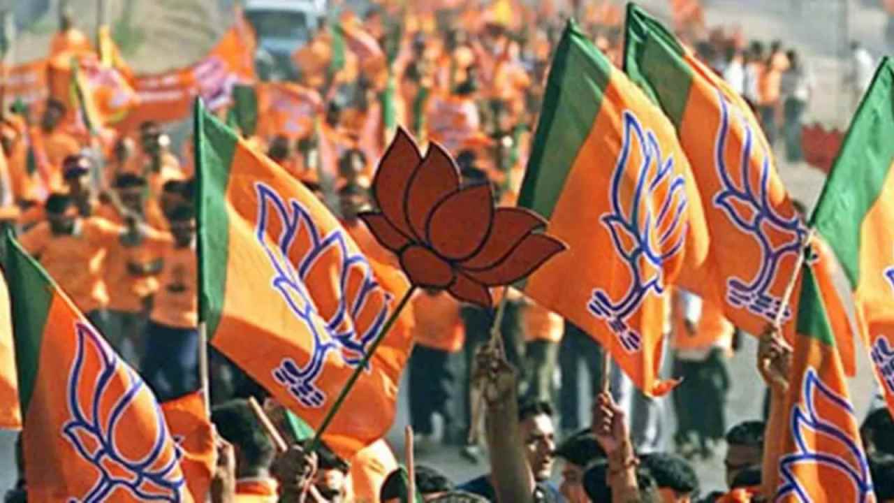 BJP: అస్సాం పంచాయతీ ఎన్నికల్లో బీజేపీ అఖండ విజయం..