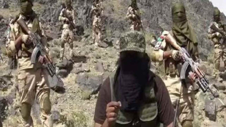 Balochistan: భారత్ సహకరిస్తే పాకిస్తాన్‌ని నిర్మూలిస్తాం.. బీఎల్ఏ సంచలనం..