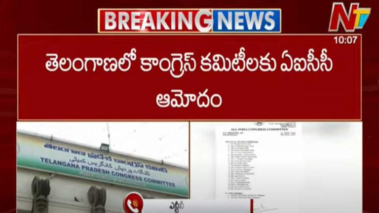 Congress Committees: తెలంగాణలో కాంగ్రెస్ కమిటీలకు ఏఐసీసీ ఆమోదం..