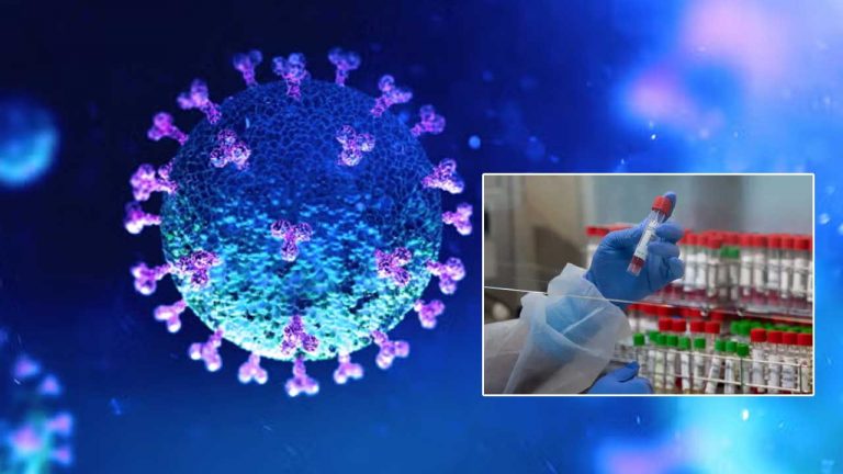 Covid 19: నెల్లూరులో కరోనా కలకలం.. ఒకేసారి ఆరు కేసులు