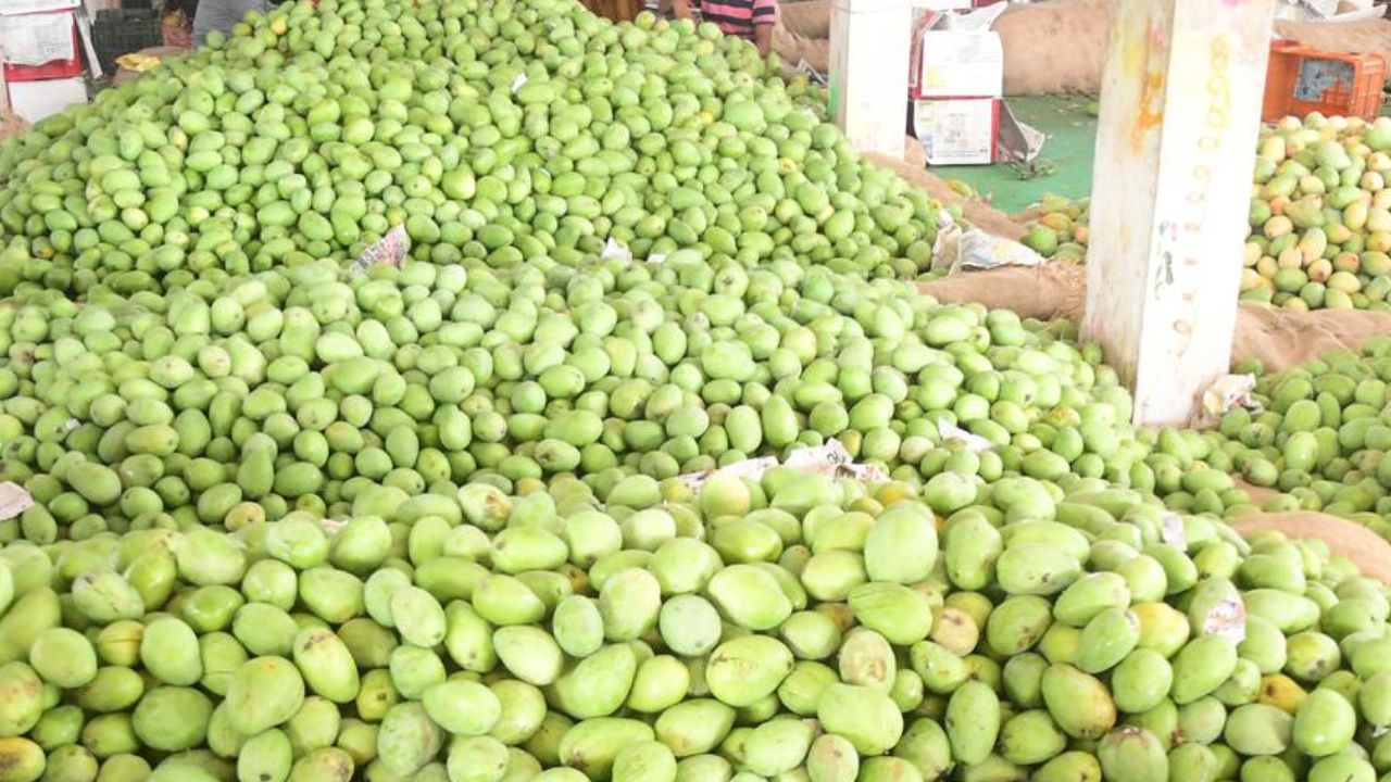 Nunna Mango Market: వెలవెలబోతున్న నున్న మామిడి మార్కెట్.. ఆందోళనకు గురవుతున్న వ్యాపారాలు!