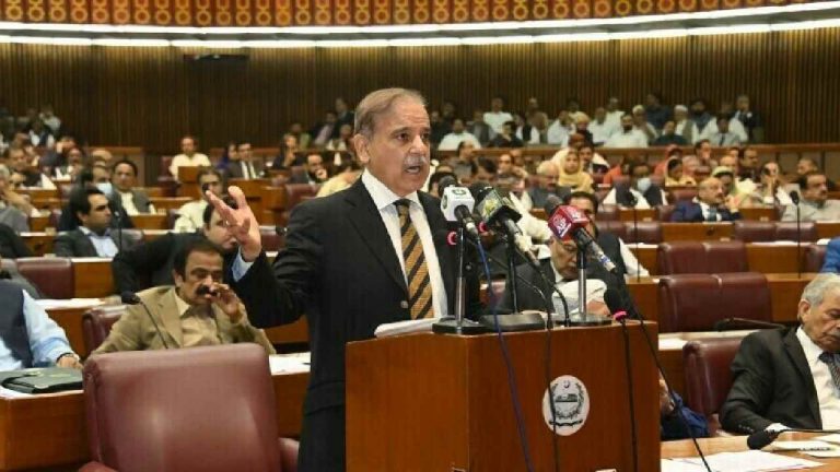 Pakistan: 80 విమానాలతో భారత్ దాడి, రైలు హైజాక్‌లో ప్రమేయం.. పాక్ ప్రధాని అబద్ధాలు..