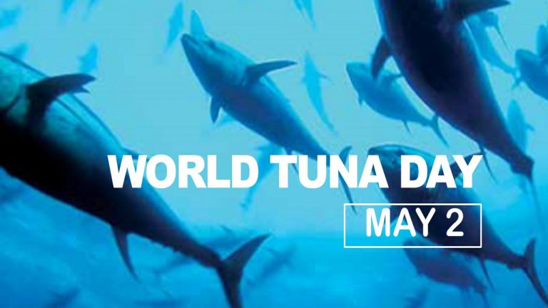 World Tuna Day : టూనా దినోత్సవాన్ని జరుపుకోవడానికి కారణం ఏమిటి..? ఈ రోజు చరిత్ర, ప్రాముఖ్యతను తెలుసా..?