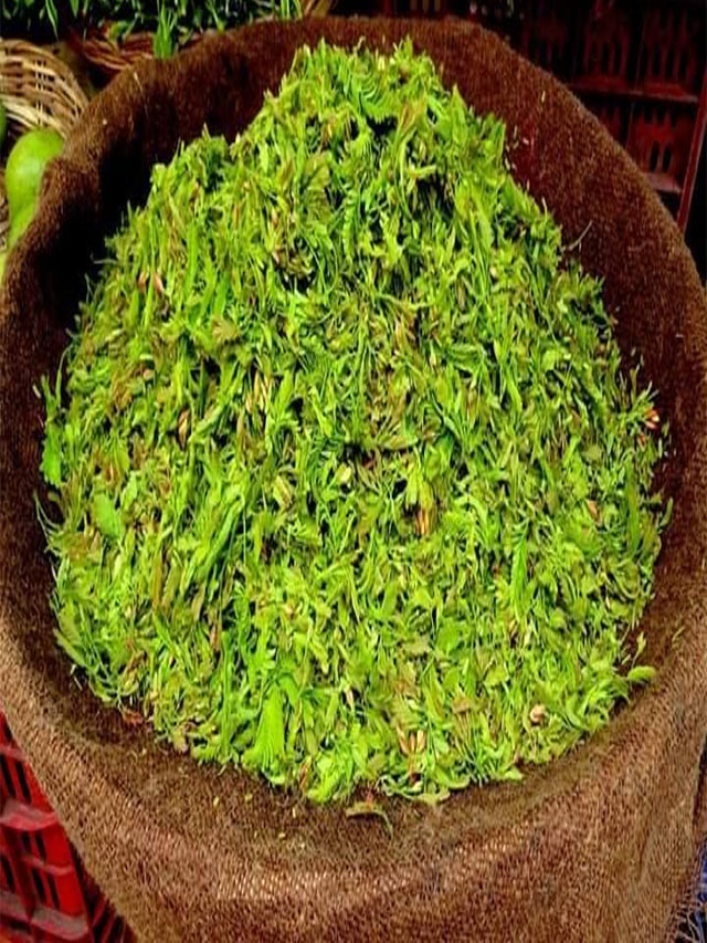 Chintha Chiguru: అనేక రోగాలకు దివ్య ఔషధంగా చింత చిగురు..!