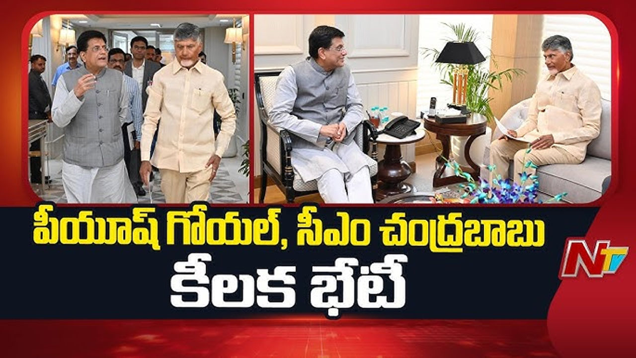 CM Chandrababu: సీఎంతో ముగిసిన కేంద్ర మంత్రి పీయూష్‌ గోయల్ భేటీ.. ఈ అంశాలపై చర్చ