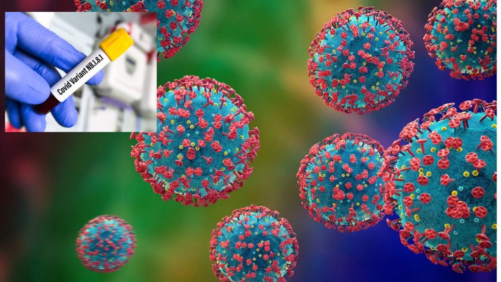 Covid 19 Variant Nb.1.8.1
