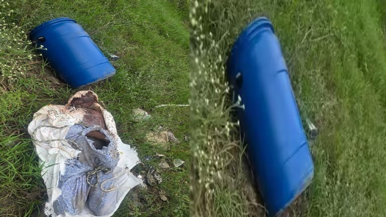 Body Found In Drum: డ్రమ్‌లో కుళ్ళిపోయిన మృతదేహం.. కొనసాగుతున్న పోలీసుల విచారణ