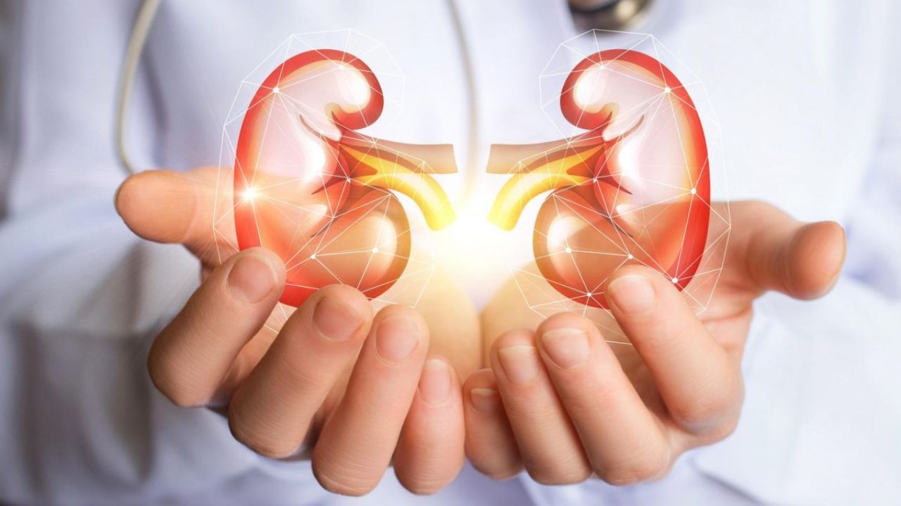 Healthy Kidney: కిడ్నీల ఆరోగ్యాన్ని కాపాడే 6 సులభమైన టిప్స్!