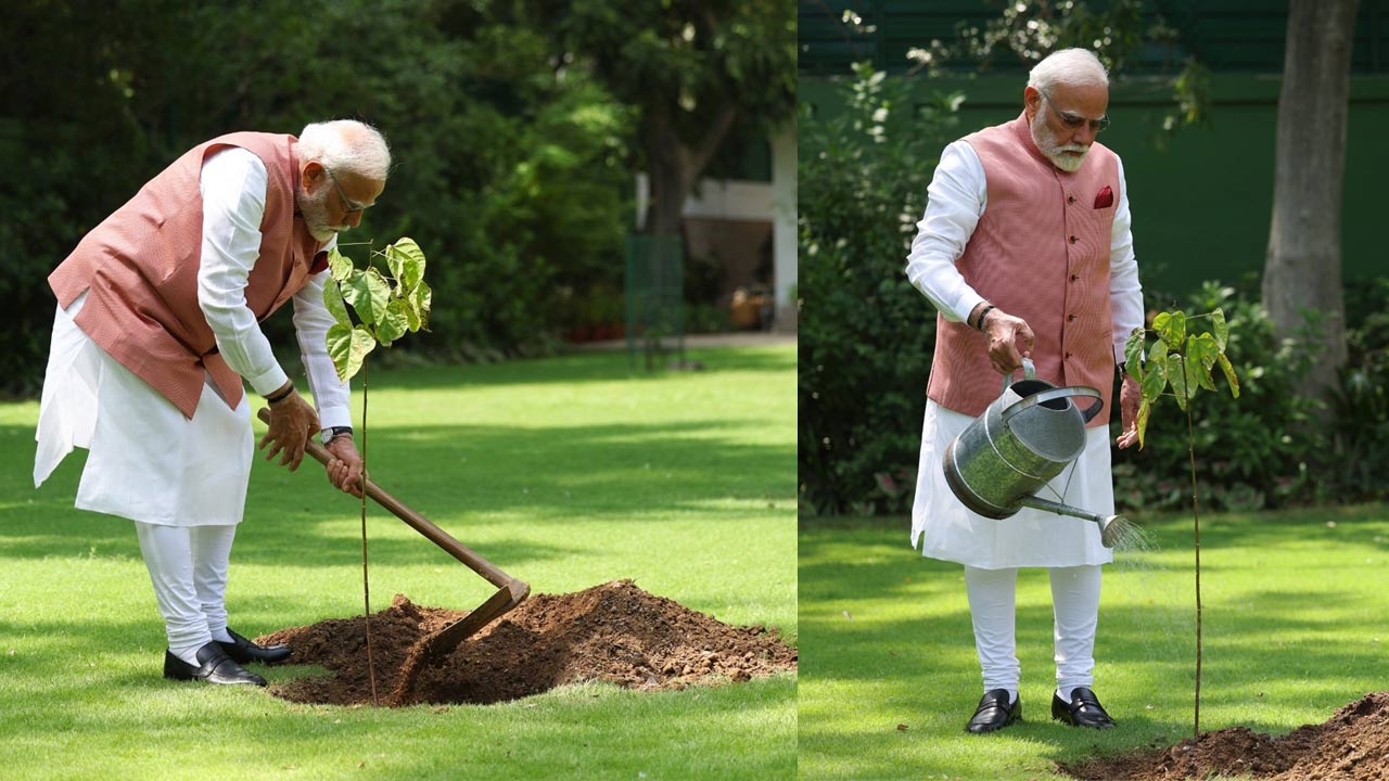 PM Modi: ప్రపంచ పర్యావరణ దినోత్సవం సందర్భంగా సిందూర మొక్కను నాటిన మోడీ