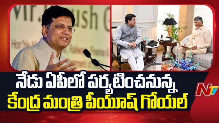 Minister Piyush Goyal: నేడు రాష్ట్రంలో పర్యటించనున్న కేంద్ర మంత్రి పీయూష్ గోయల్..!