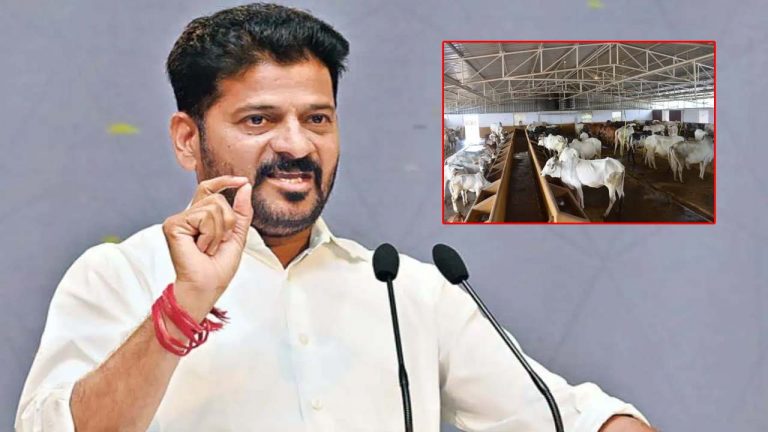 CM Revanth Reddy: గో సంర‌క్షణ‌పై సీఎం రేవంత్ సమీక్ష.. కీలక ఆదేశాలు జారీ