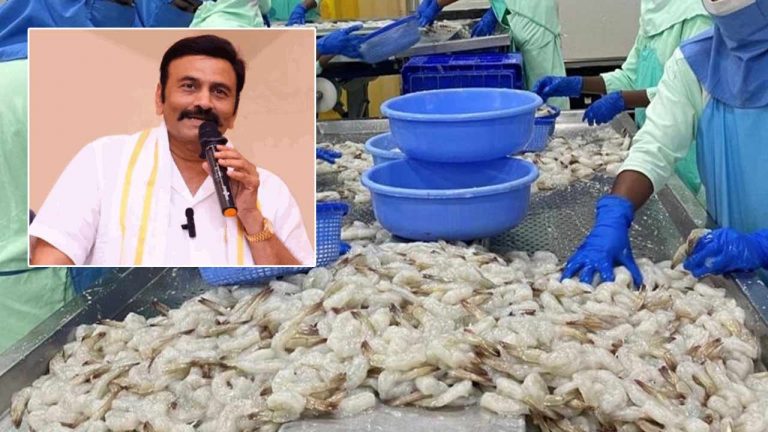 AP Aqua Farmers: ఆక్వా రైతుల కోసం సర్కార్‌ కీలక నిర్ణయం..