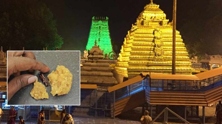 Srisailam Laddu Prasadam: శ్రీశైలం లడ్డూ ప్రసాదంలో బొద్దింక ఆరోపణల వెనుక కుట్రకోణం..!