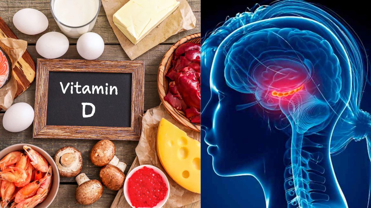 Vitamin D Foods: మెదడు ఆరోగ్యాన్ని మెరుగుపరచడంలో విటమిన్ D ఎలా తోడ్పడుతుందంటే..?