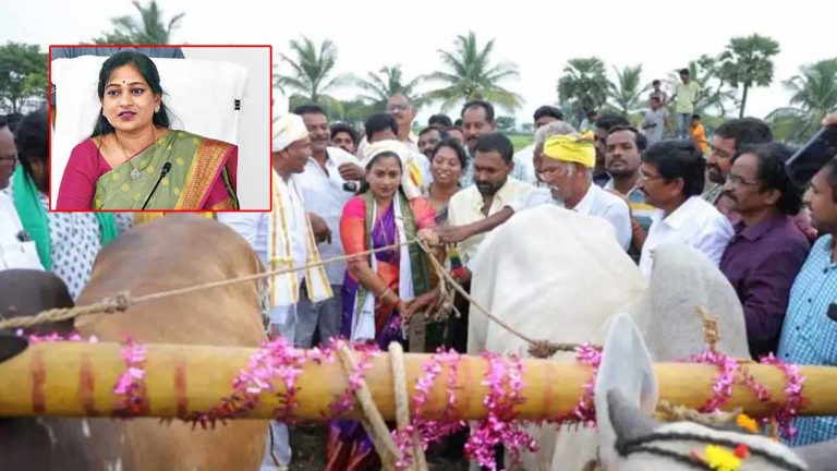 Vangalapudi Anitha: కాడెడ్లతో నాగలి పట్టుకొని పొలం దున్నిన హోంమంత్రి..