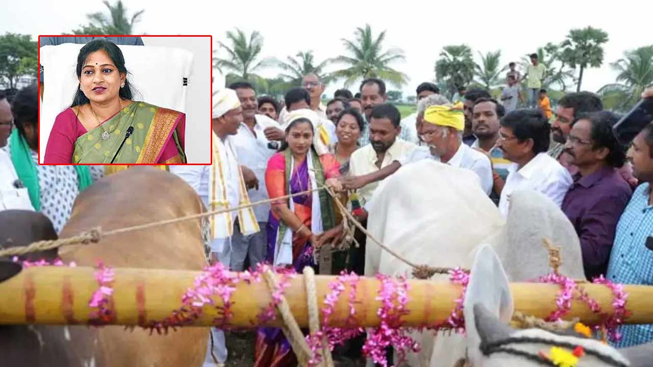 Vangalapudi Anitha: కాడెడ్లతో నాగలి పట్టుకొని పొలం దున్నిన హోంమంత్రి..