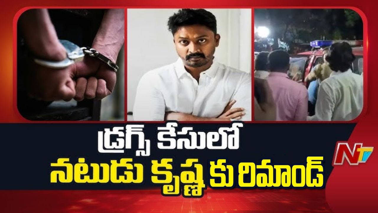 Chennai Drugs Case : డ్రగ్స్ కేసులో పంజా సినిమా దర్శకుడి తమ్ముడుకి రిమాండ్