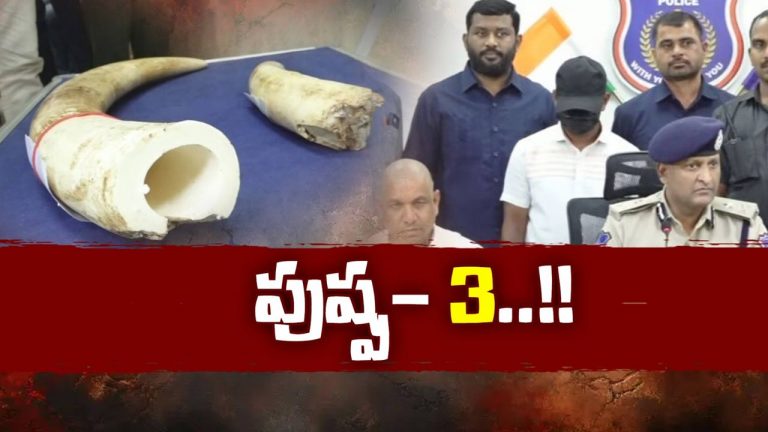 HYD Animal Smugglers: రెడ్ శాండిల్ స్మగ్లర్స్.. ఇప్పుడు రూట్ మార్చారు..