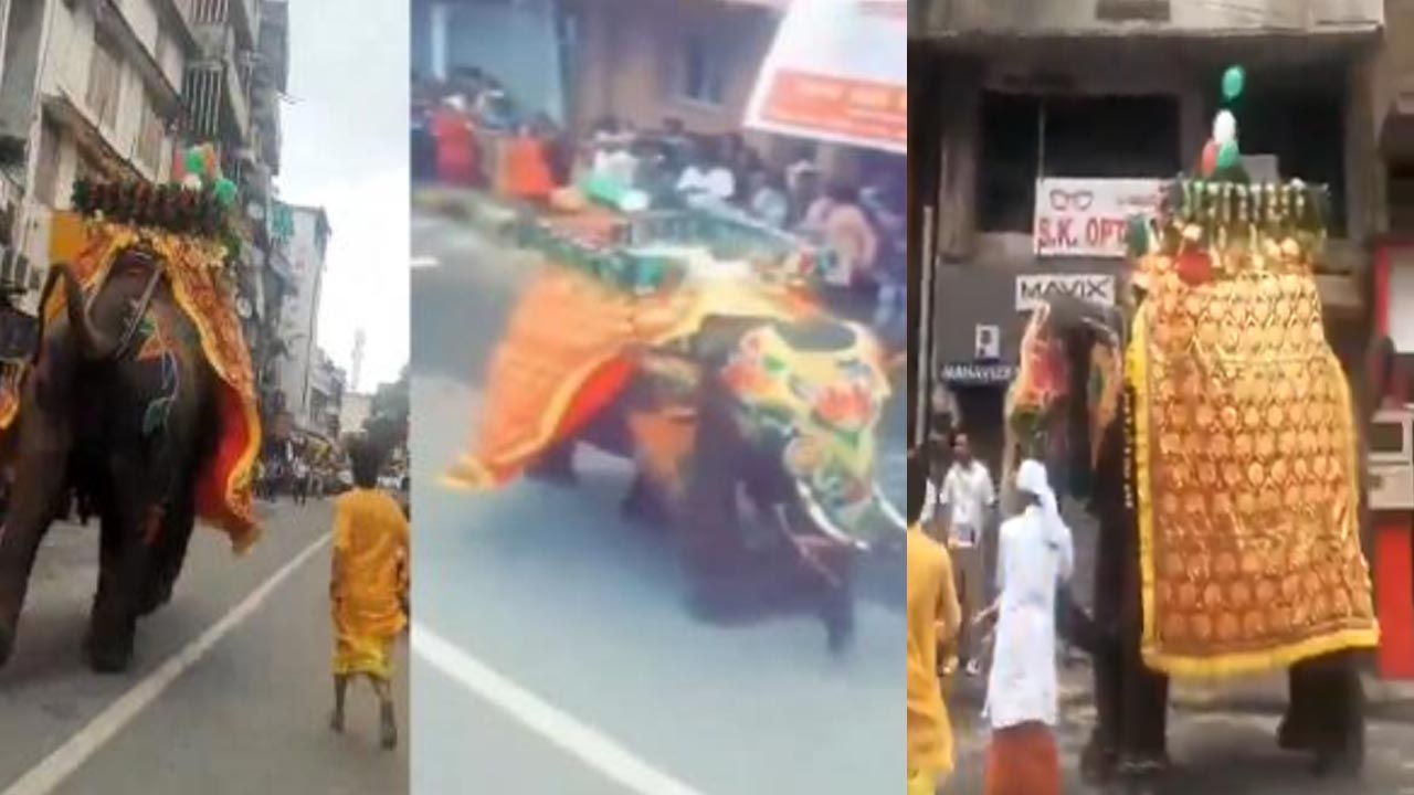 Jagannath Rathyatra: జగన్నాథ రథయాత్రలో ఏనుగుల బీభత్సం.. పరుగులు తీసిన జనం