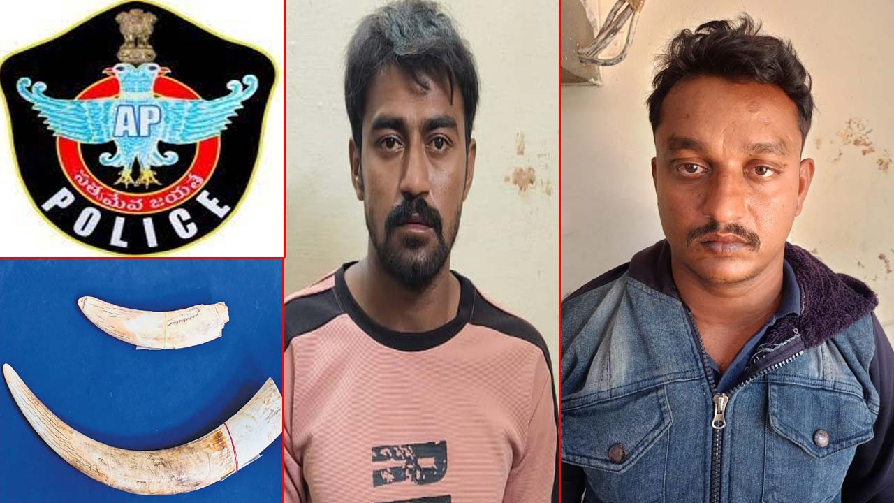 Ivory Smugglers: హైదరాబాద్‌లో ఏనుగు దంతాల కేసు.. కొనసాగుతున్న విచారణ