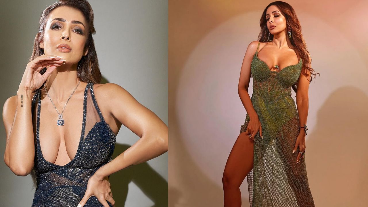Malaika Arora : మెరుపులాంటి సొగసులతో మత్తెక్కిస్తున్న మలైక..