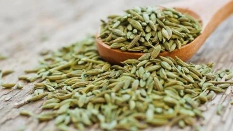 Anise Seeds: జీర్ణక్రియ మెరుగుపడాలంటే వీటిని తిని తీరాల్సిందే..!