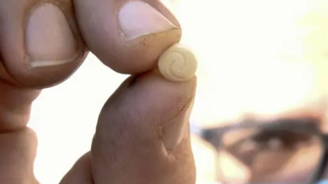 Death Penalty: ఆ ఒక్క మందు 144 మంది ఉరిశిక్షకి కారణం.. అసలేంటి ఆ మందు..?