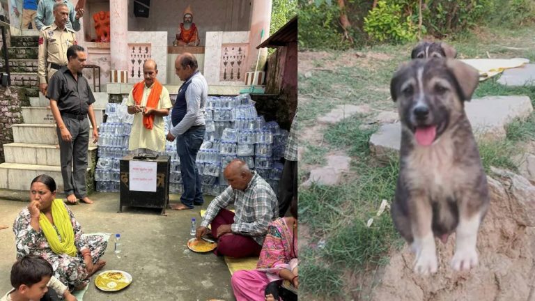 Himachal Floods: విశ్వాసం గల జంతువే కాదు ప్రాణాలు కాపాడింది.. ఓ డాగ్ ఏం చేసిందంటే..!