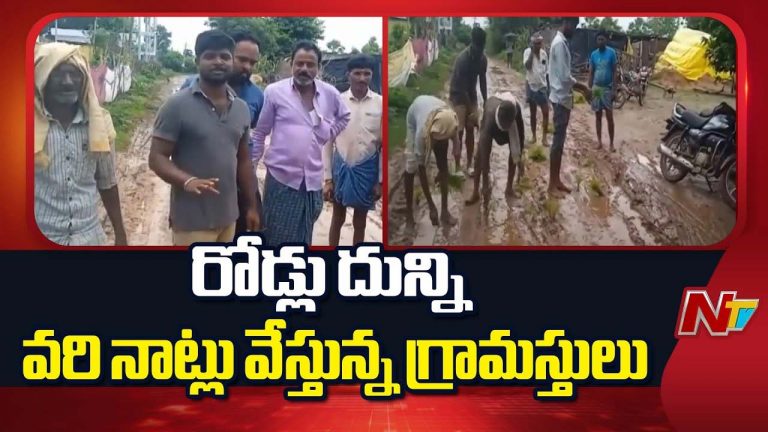 Plant Paddy On Road: ఏకంగా రోడ్లు దున్ని వరి నాట్లు వేసిన గ్రామస్తులు.. మండిపడిన స్థానికులు..!