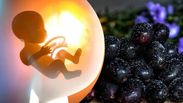 Amun Fruit: గర్భిణీలు నేరేడు పండు తింటున్నారా..!