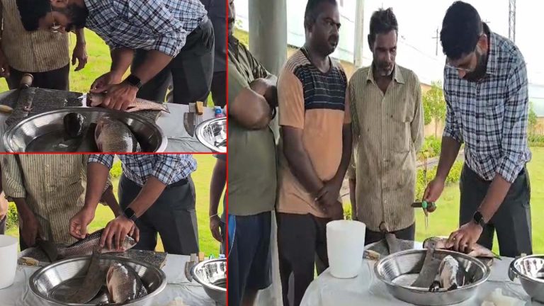 Collector Fish Cutting: చేపలను బోన్‌లెస్‌గా ఎలా కట్ చేయాలో చూపించిన కలెక్టర్!