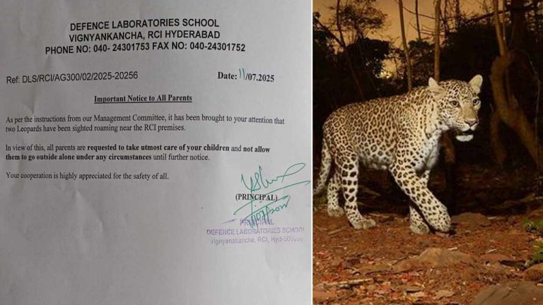 Leopards in Balapur: హైదరాబాద్‌లో చిరుతల కలకలం.. బాలాపూర్‌లో రెండు చిరుతలు..