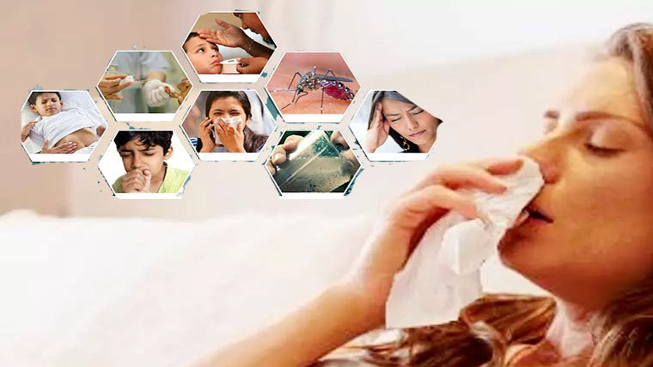 Monsoon Health Tips: జోరుగా వర్షాలు.. ఈ జాగ్రత్తలు పాటించకుంటే రోగాలు ఖాయం..