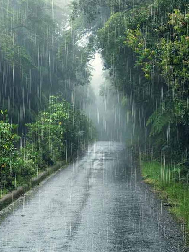 Monsoon Season: వర్షాకాలంలో తీసుకోవల్సిన జాగ్రత్తలివే!