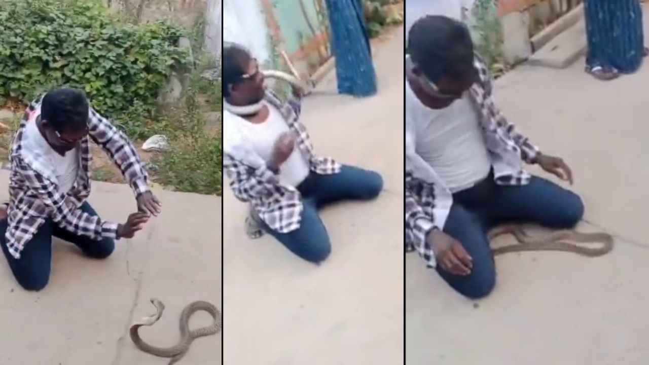 Naagin Dance: వీడెవడండి బాబు.. కోబ్రాకే ‘నాగిని డాన్స్’ నేర్పిస్తున్నాడు.. వైరల్ వీడియో