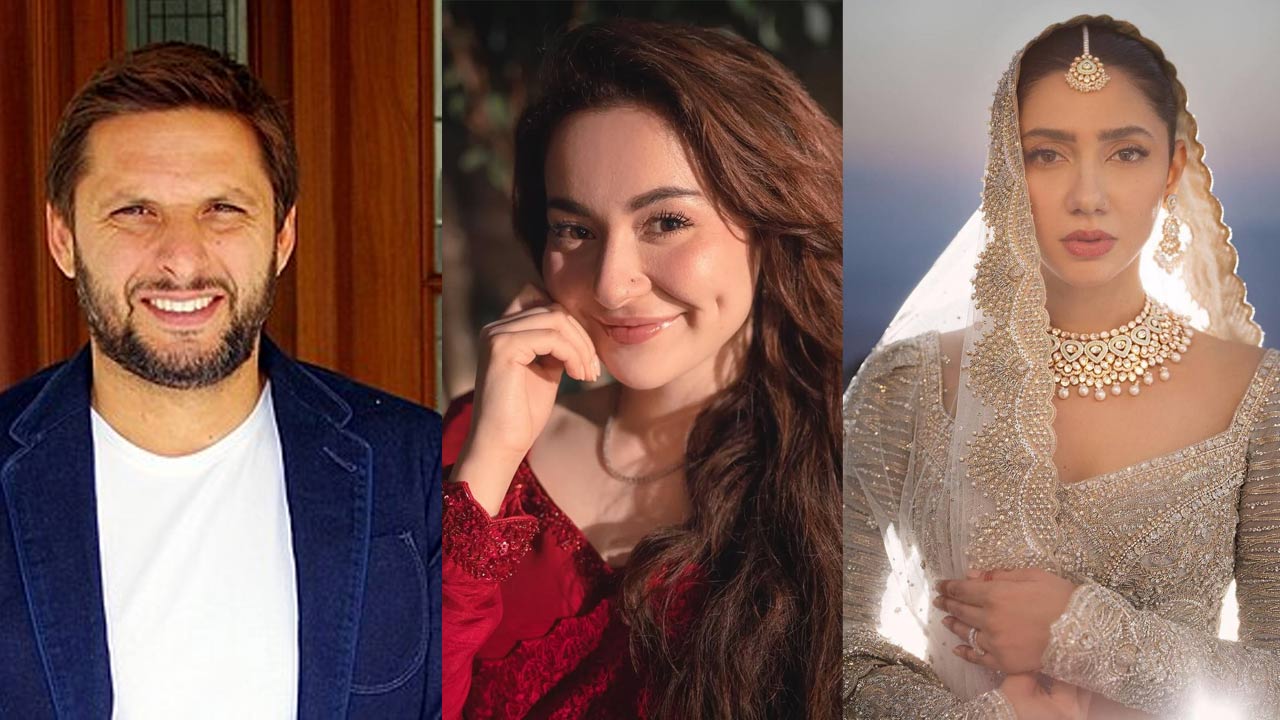 Delhi: పాక్ సెలబ్రిటీలకు భారత్‌ బిగ్‌ షాక్.. సోషల్‌ మీడియా ఖాతాలు మళ్లీ బ్యాన్