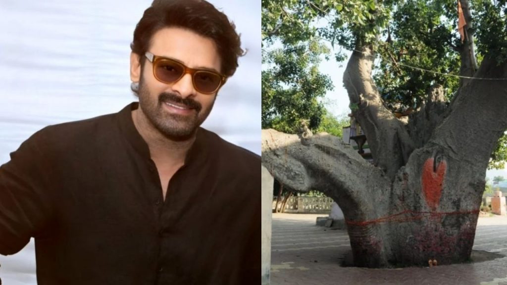 Prabhas Kalpavriksha Tree,