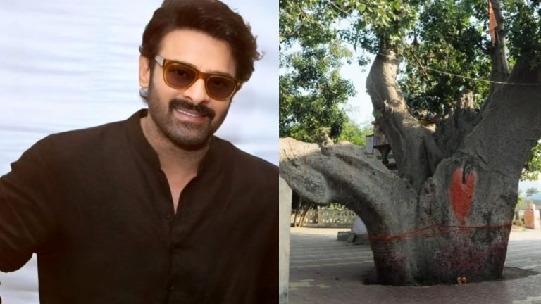Prabhas : అంబానీ ఇంట్లో ఉన్న చెట్టు ఇప్పుడు ప్రభాస్ ఇంట్లో.. ధర వింటే షాక్