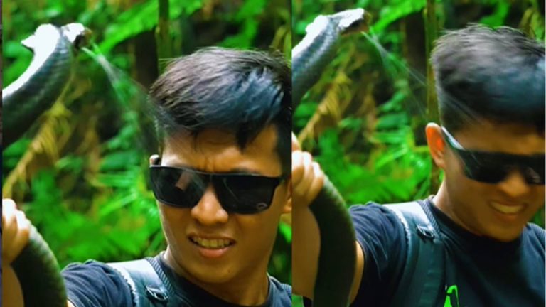 Spitting Cobra : కంటెంట్ కోసం కన్ను తాకట్టు.. అందుకే కోబ్రా గేమ్స్‌ ఆడొద్దు..