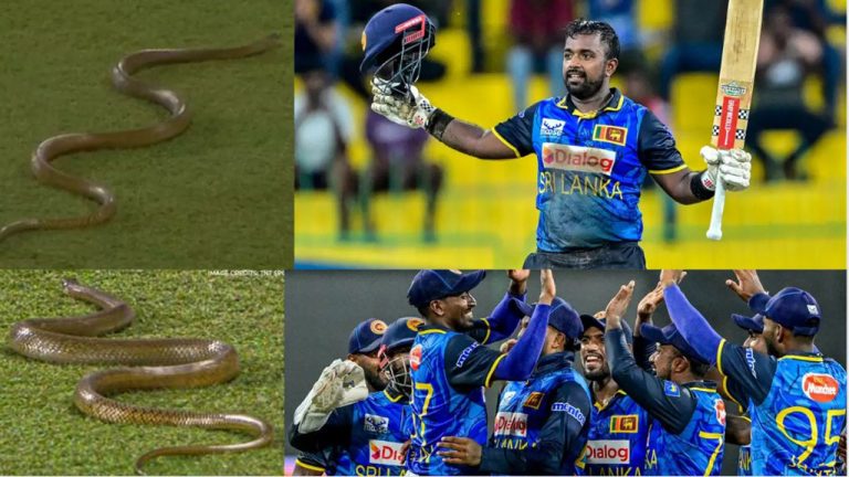 Snake At Cricket Ground: అయ్యబాబోయ్.. మ్యాచ్ జరుగుతుండగానే మైదానంలో ప్రత్యక్షమైన పాము.. వీడియో వైరల్