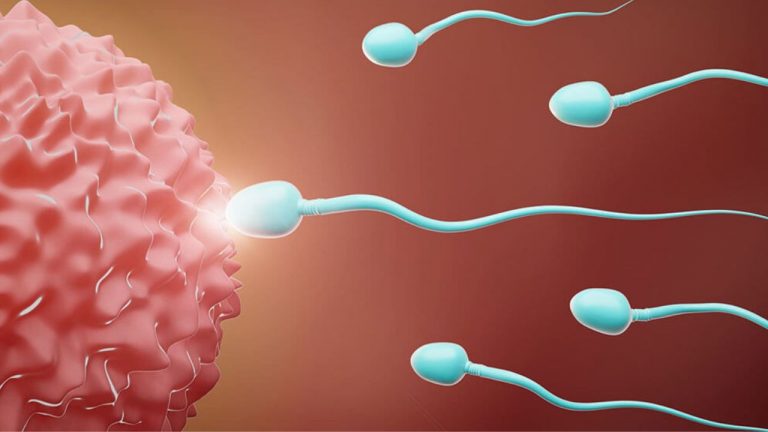Sperm Count: వీర్యకణాల సమస్యతో ఇబ్బందులా..? బయటపడాలంటే డైట్‌లో ఇవి ఉండాల్సిందే..!