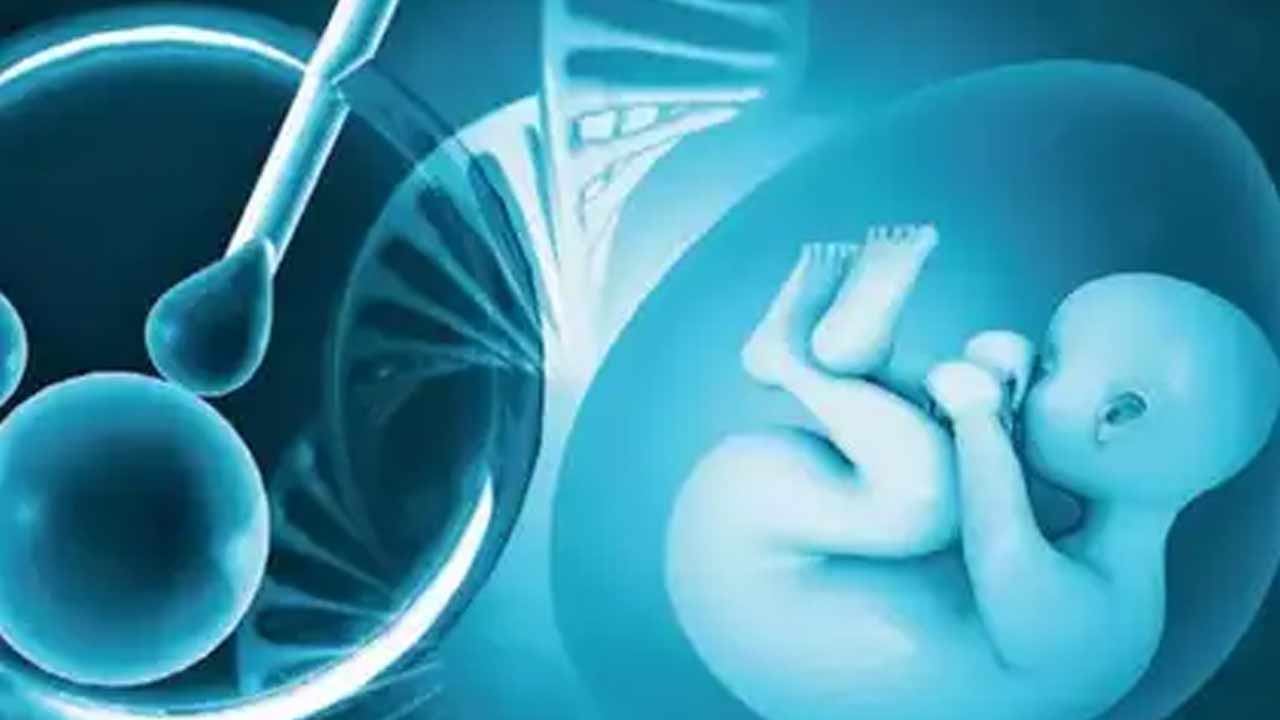Srushti IVF Center : తెలుగు రాష్ట్రాల్లో సృష్టి ప్రకంపనలు.. వెలుగులోకి సంచలన విషయాలు