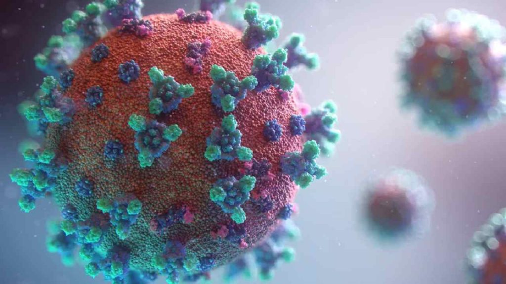 Stratus, New Covid Variant