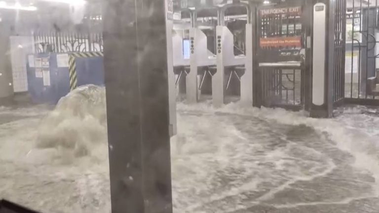 US Floods: న్యూయార్క్, న్యూజెర్సీని ముంచెత్తిన భారీ వరదలు.. కొట్టుకుయిన కార్లు, వస్తువులు