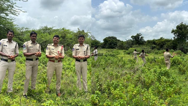 Vana Mahotsavam 2025: పెట్రోల్ బంక్‌లలో ఫ్రీగా సీడ్ బాల్స్.. 18 కోట్ల మొక్కలు టార్గెట్!