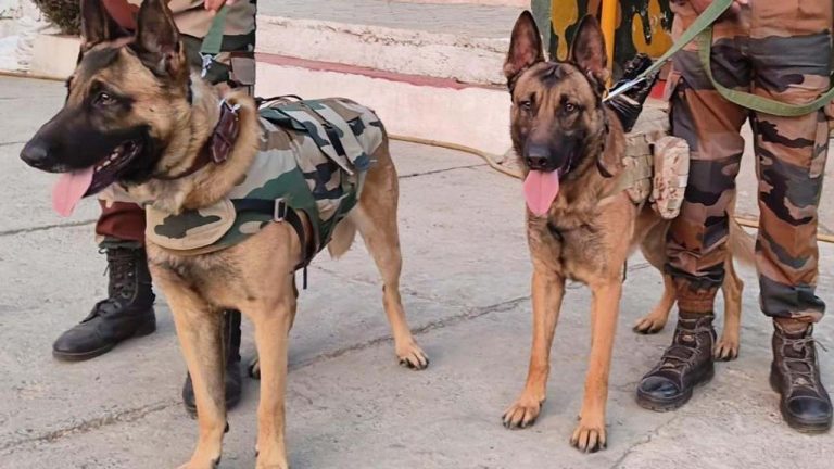 Army Dogs: ఆర్మీ డాగ్స్ రక్త దానం.. ఈ విషయాలు తెలుసా?