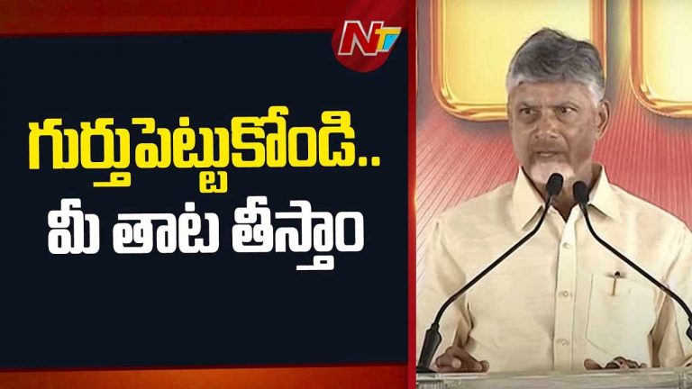 CM Chandrababu: రౌడీలతో పోరాటం చేస్తున్నా.. వికాసం.. విధ్వంసం మధ్య యుద్ధం..!